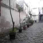 La Vinaccia Casa Vacanze