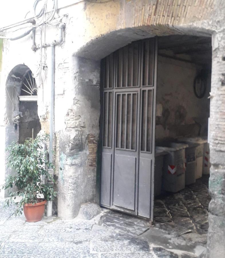 La Vinaccia Casa Vacanze